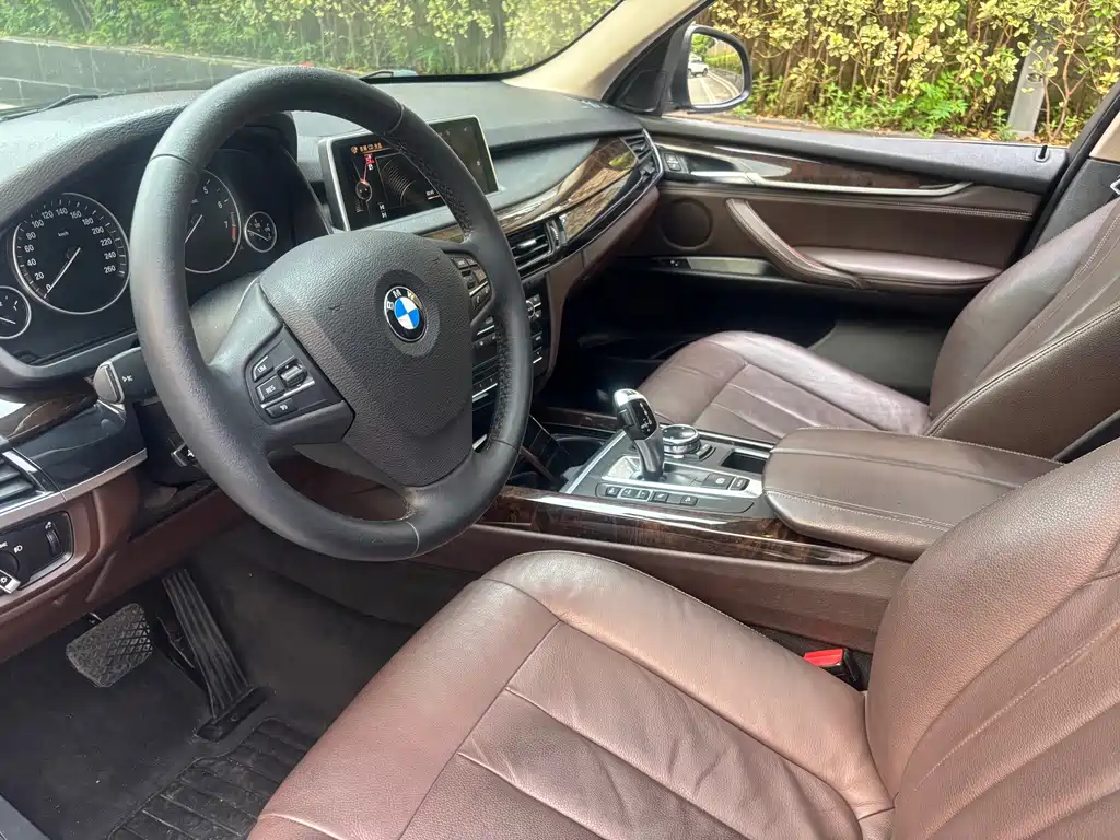 BMW X5 (Import) — миниатюра 10