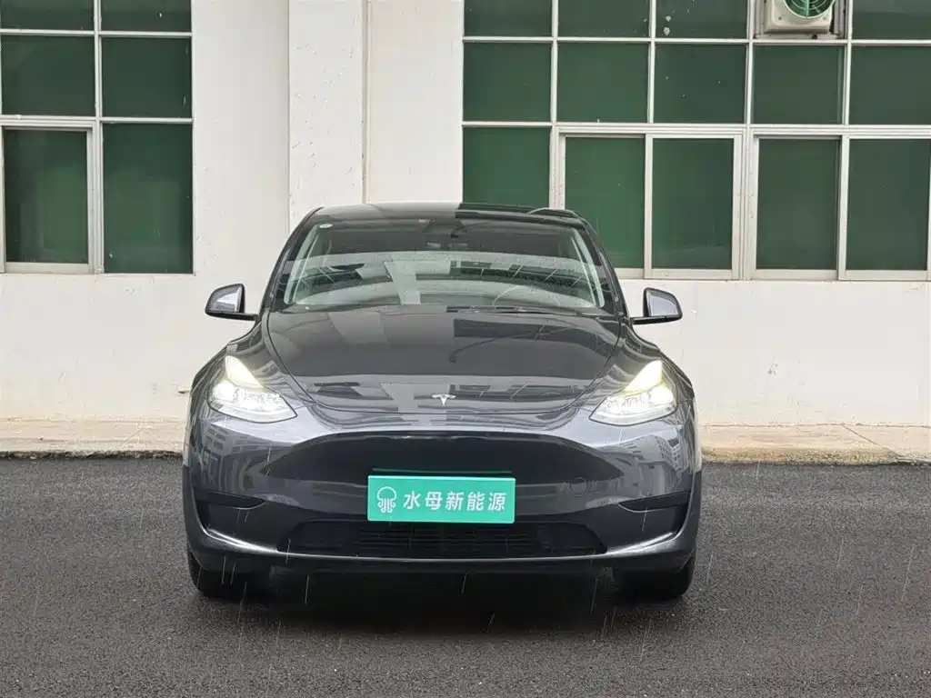 Tesla Model Y — миниатюра 2
