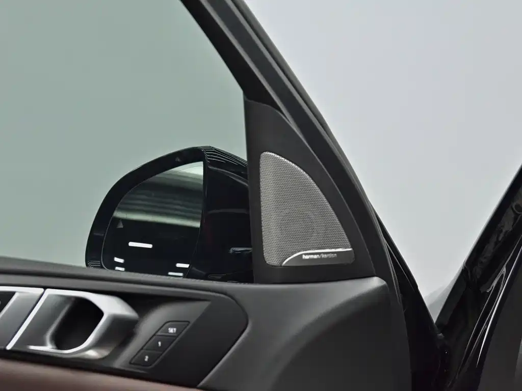 BMW X5 — миниатюра 21