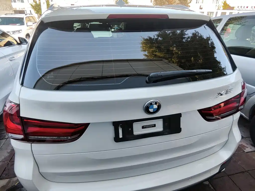 BMW X5 (Import) — миниатюра 5