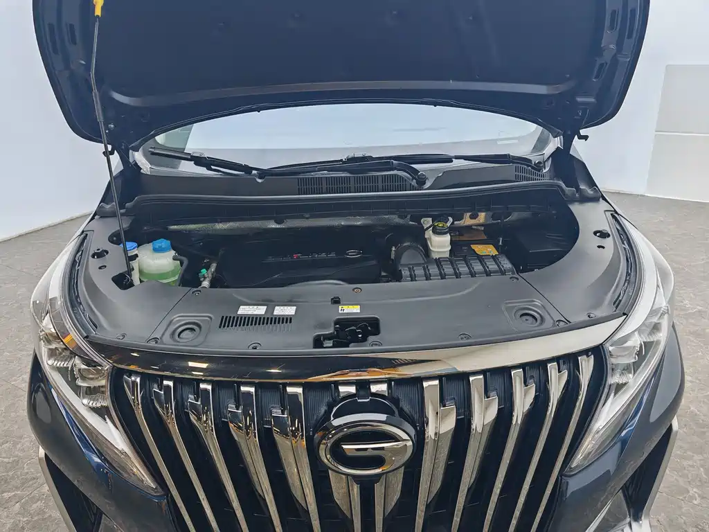 GAC Motor Trumpchi M8 — миниатюра 13