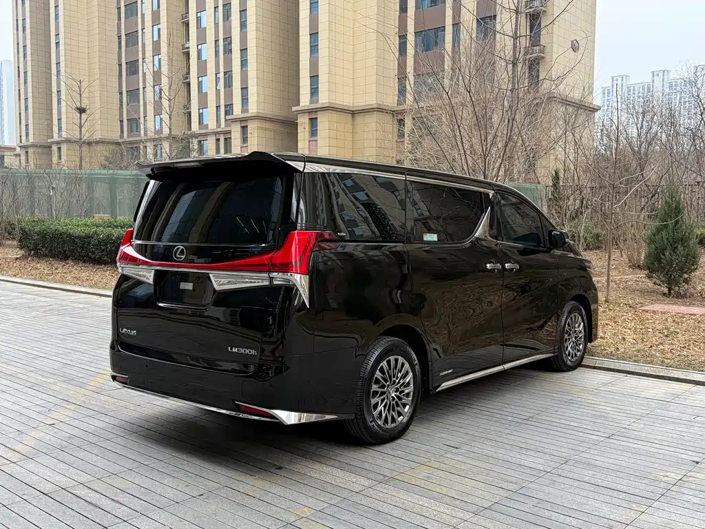 LEXUS LM