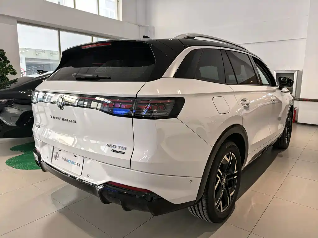 Volkswagen Tavendor — миниатюра 5