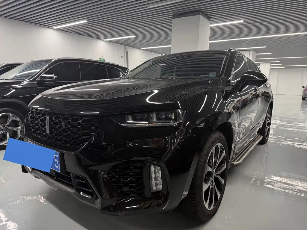 WEI PAI WEI BRAND VV7