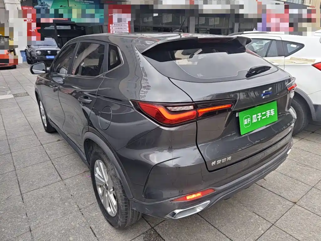 Oshan Oushang X5 — миниатюра 5