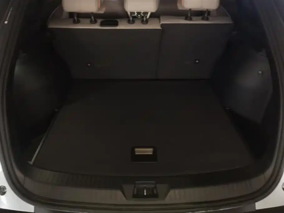 BYD SONGJIANG NEW ENERGY