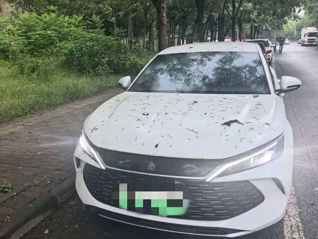 BYD Qin L — миниатюра 2