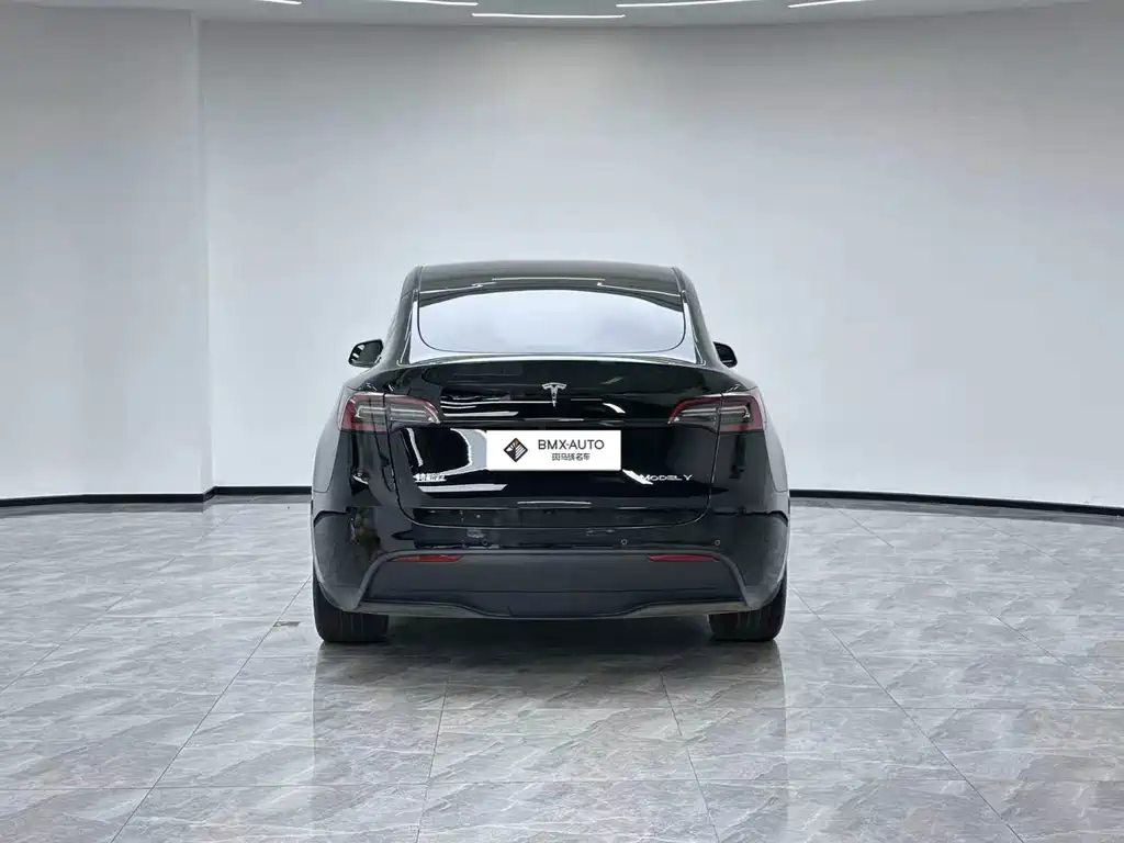 Tesla Model Y — миниатюра 6