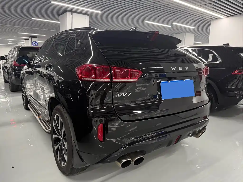 WEI PAI WEI BRAND VV7