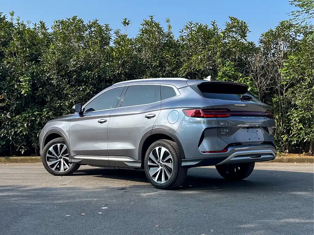 BYD PLUS New Energy — миниатюра 6