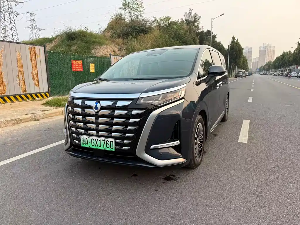 Denza D9