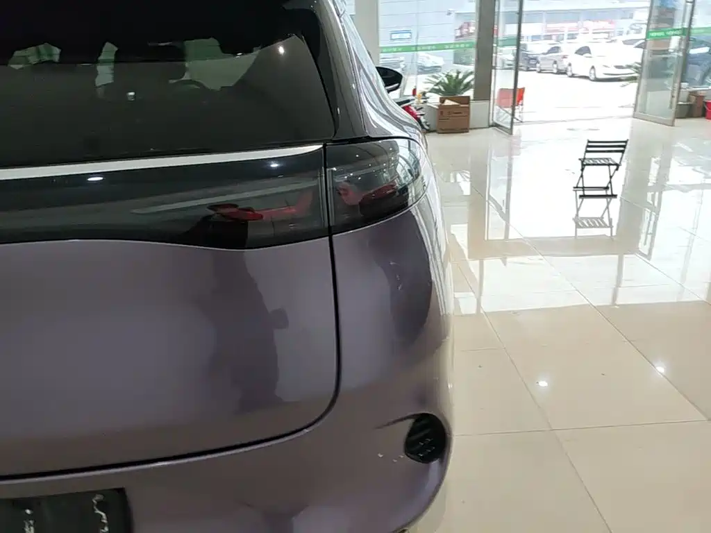 Denza Denza X — миниатюра 8