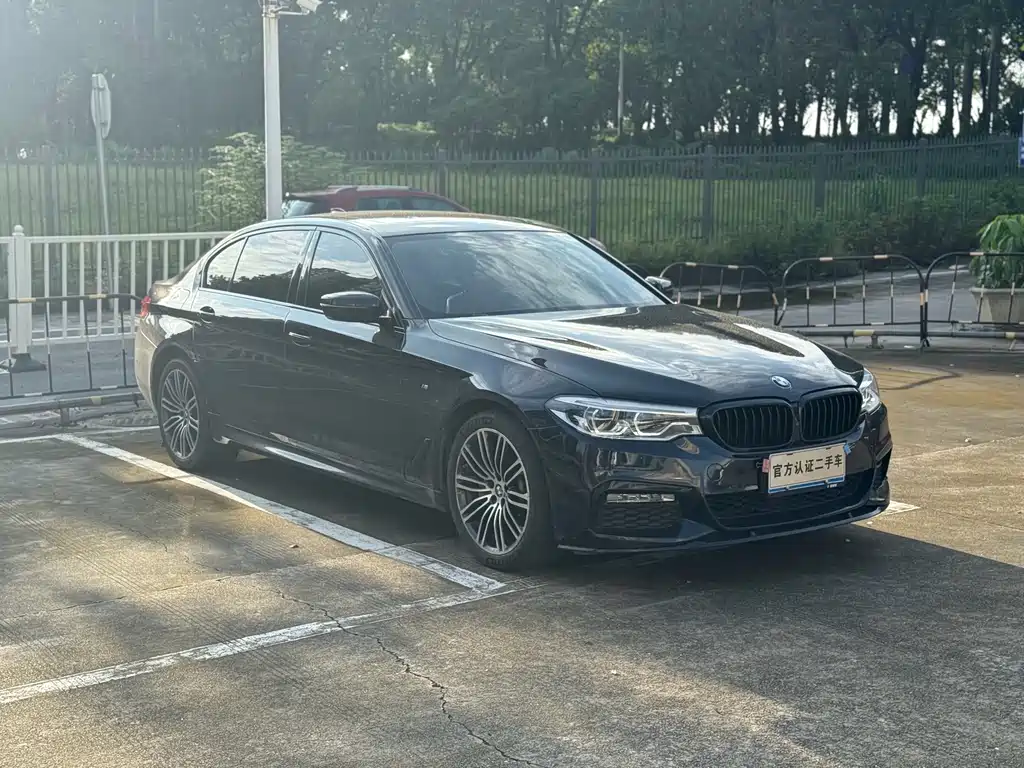 BMW 5 Series — миниатюра 3