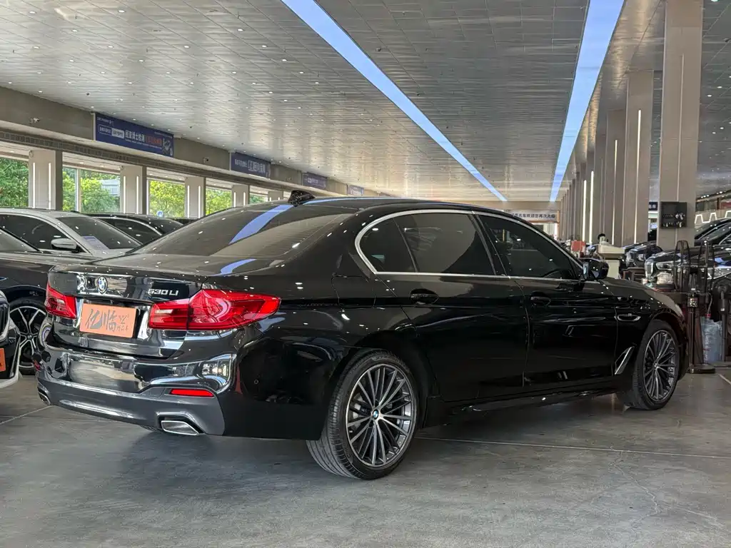 BMW 5 Series — миниатюра 19