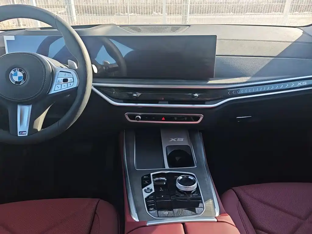 BMW X5 — миниатюра 11