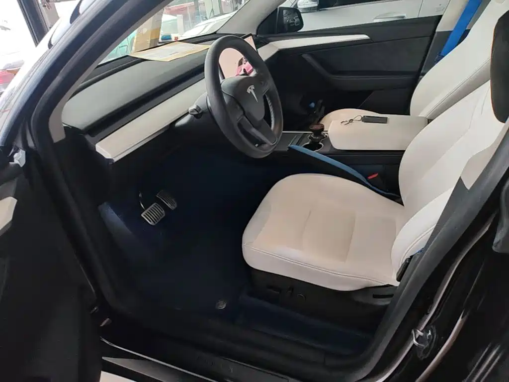 Tesla Model Y — миниатюра 15