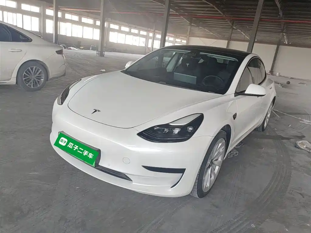 Tesla Model 3 2021