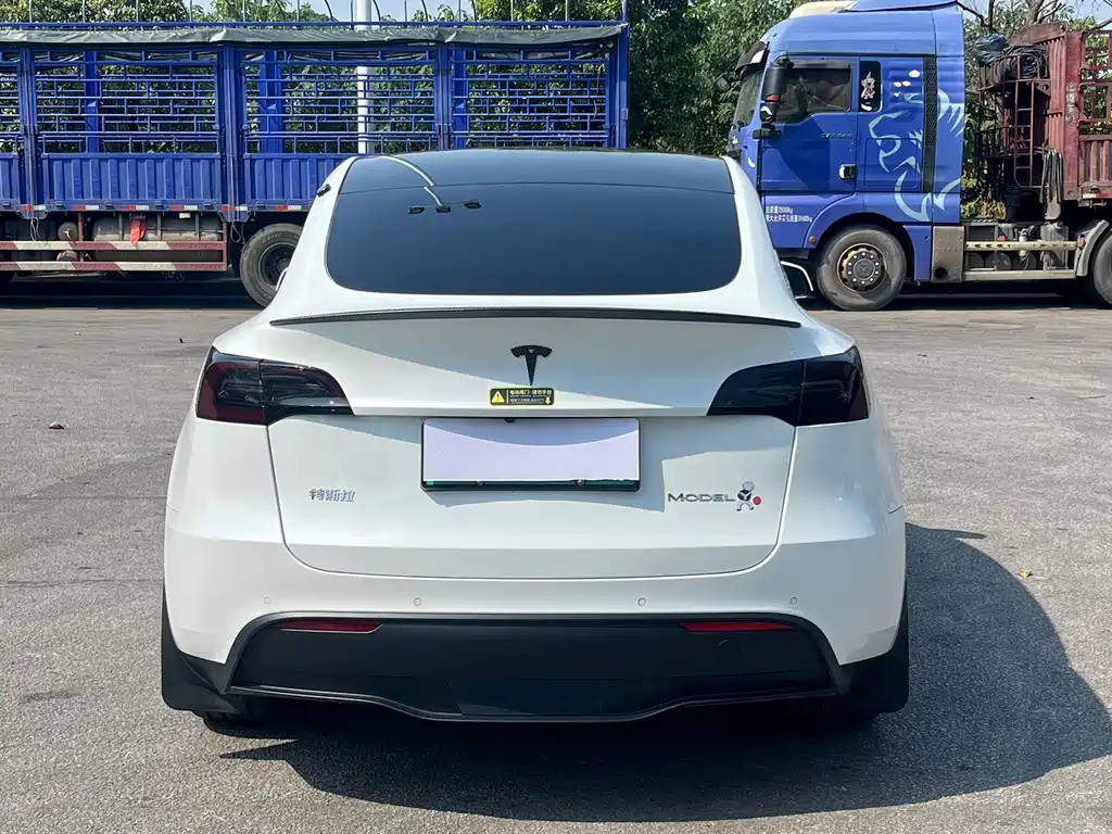 Tesla Model Y — миниатюра 5