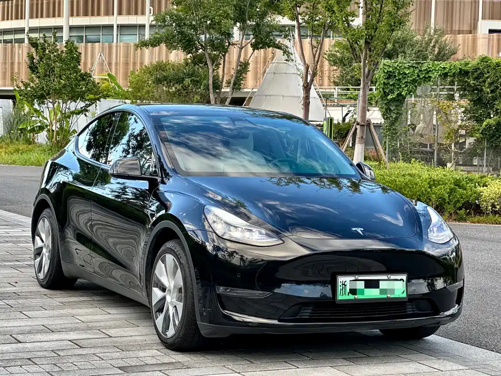 Tesla Model Y — миниатюра 3