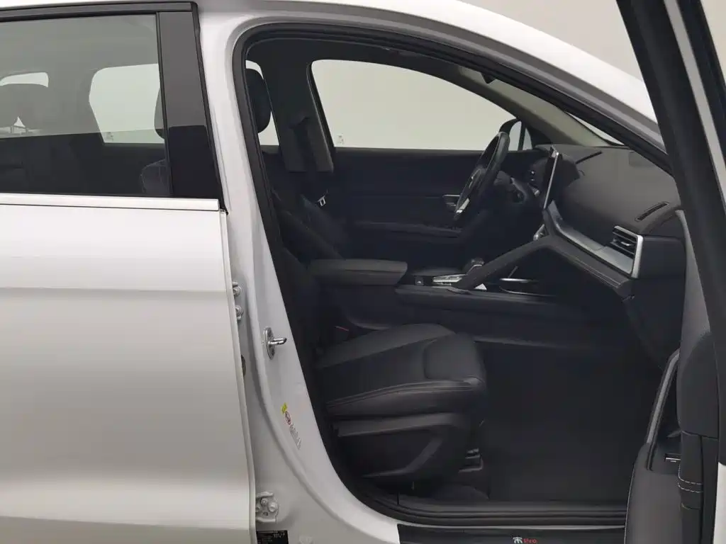 BYD Pro — миниатюра 23