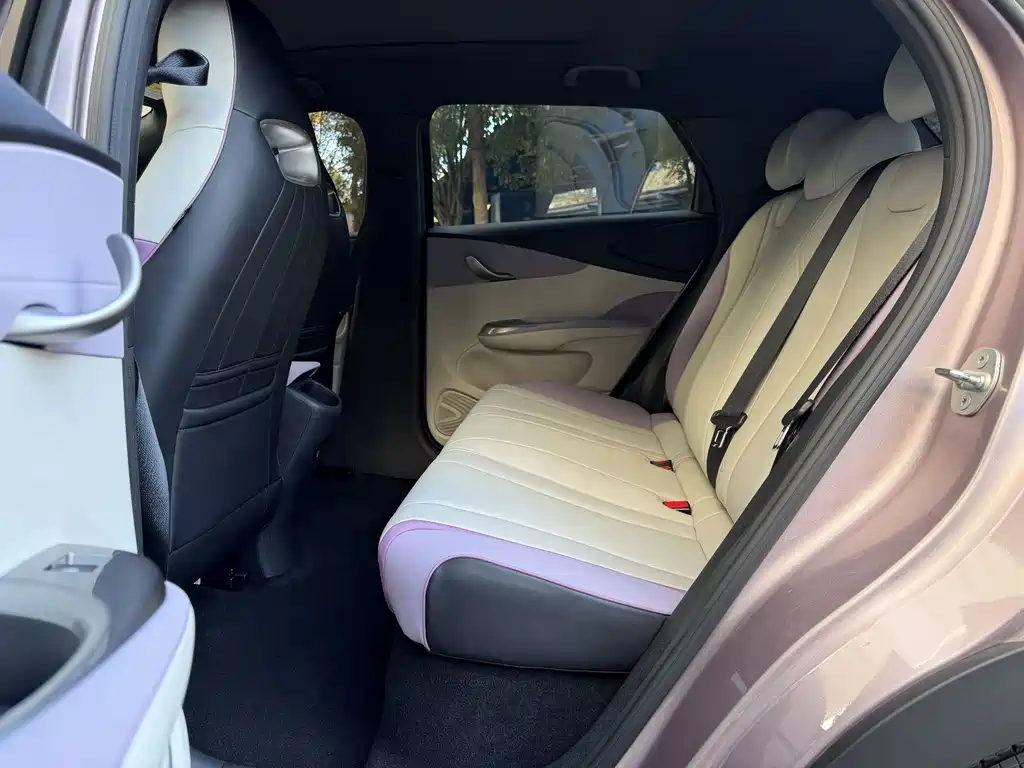 BYD Dolphin — миниатюра 10