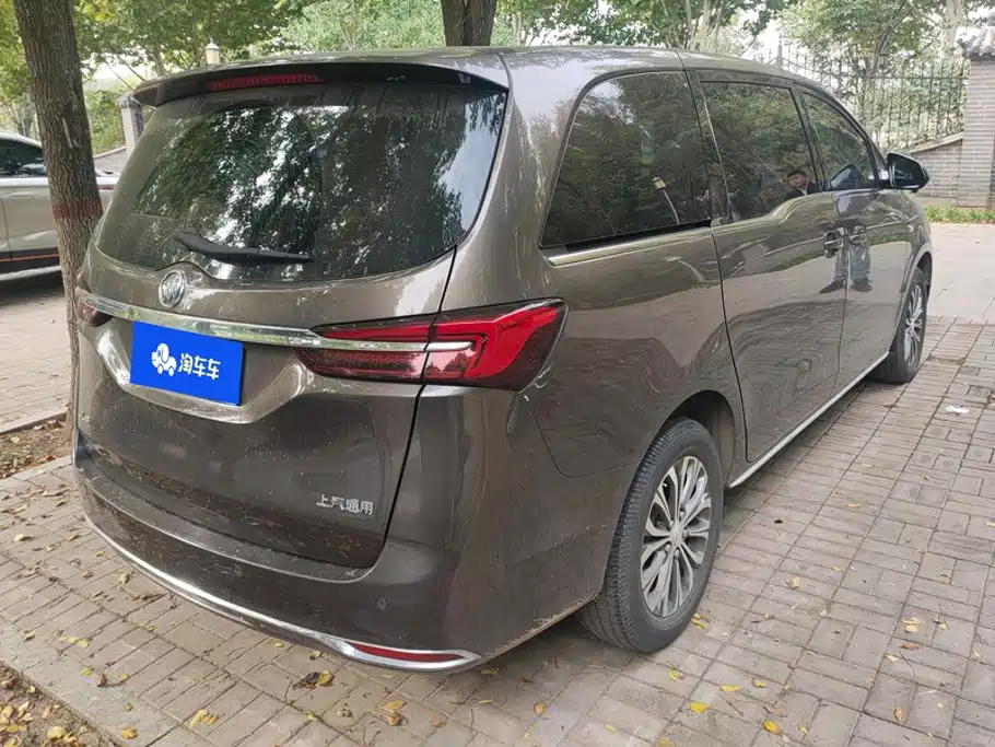 Buick GL8 — миниатюра 3