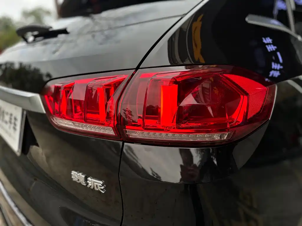 WEI PAI WEI BRAND VV5