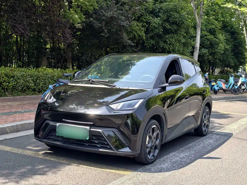 Byd Seagull 2024