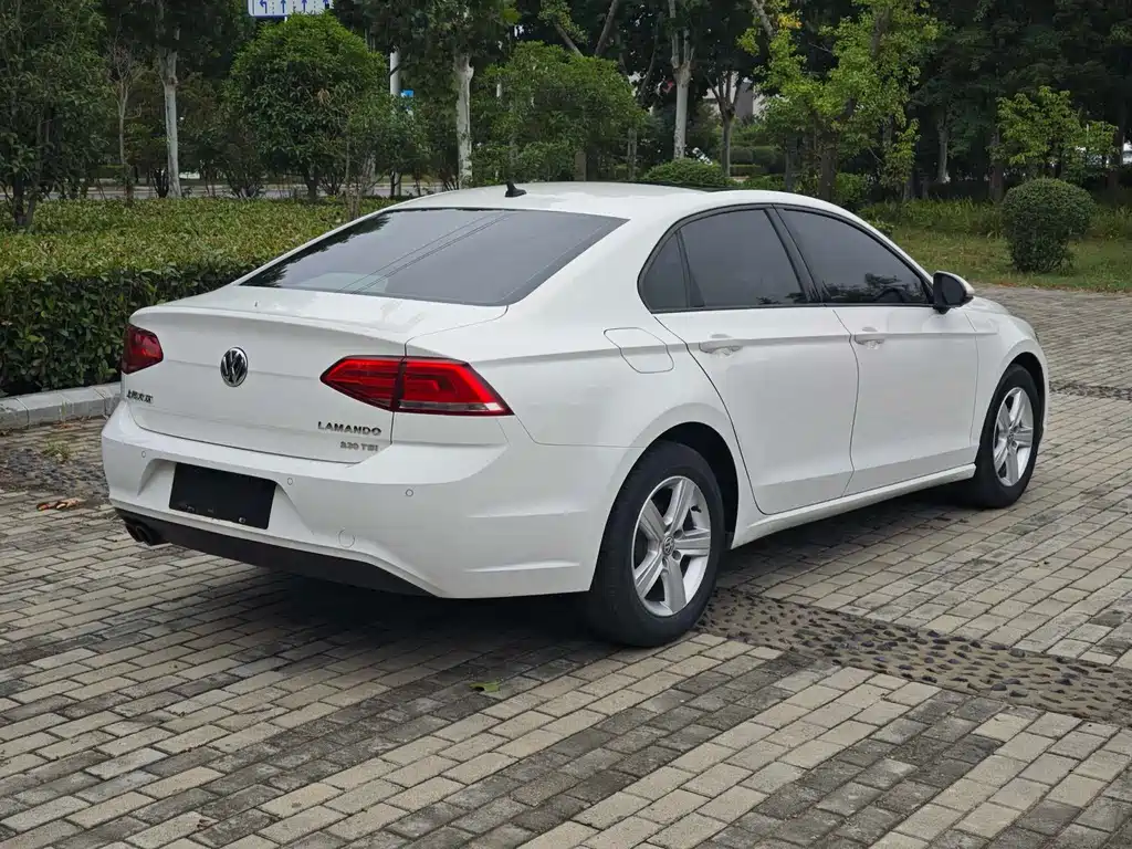 Volkswagen Lamando — миниатюра 8
