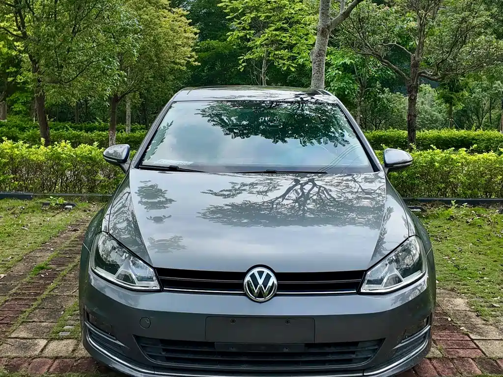 Volkswagen Golf 2014 1.6L AT Fashion