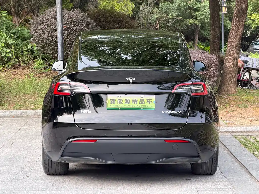 Tesla Model Y — фотографии объявления, Фото 19