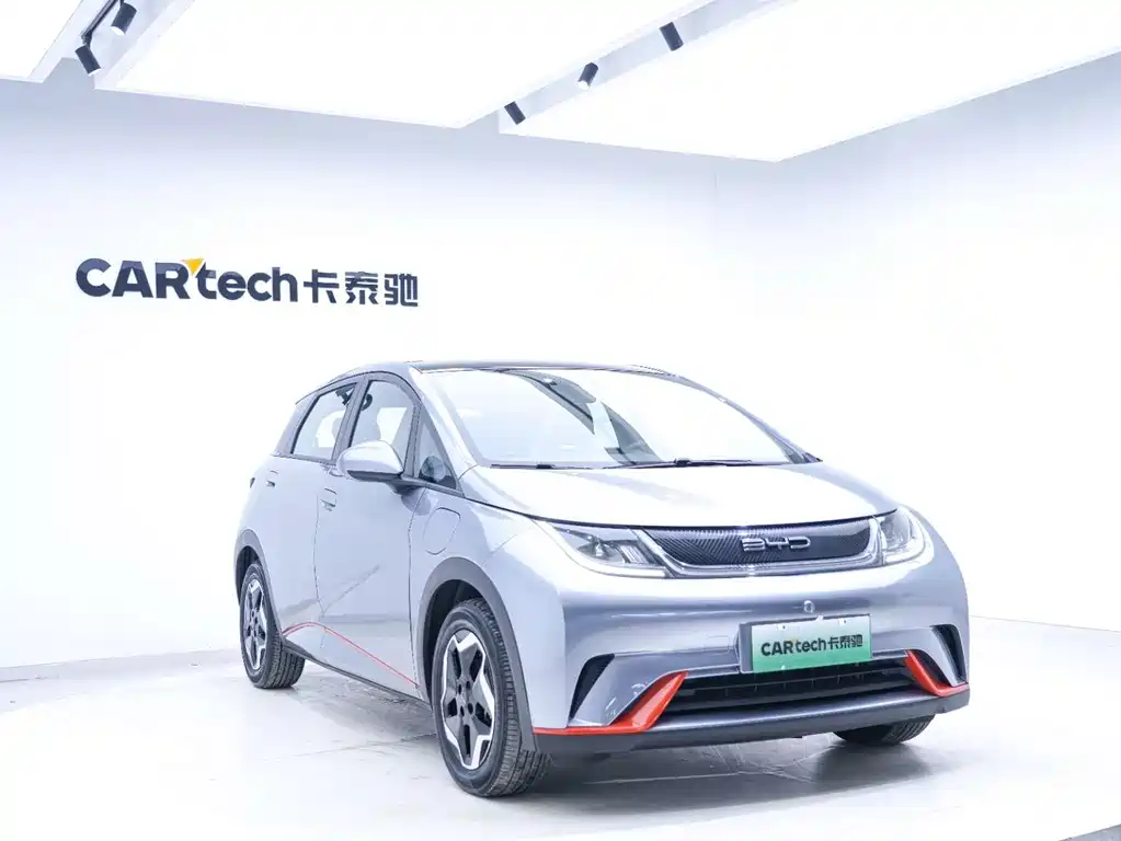 BYD Dolphin 2021 405km Fashion