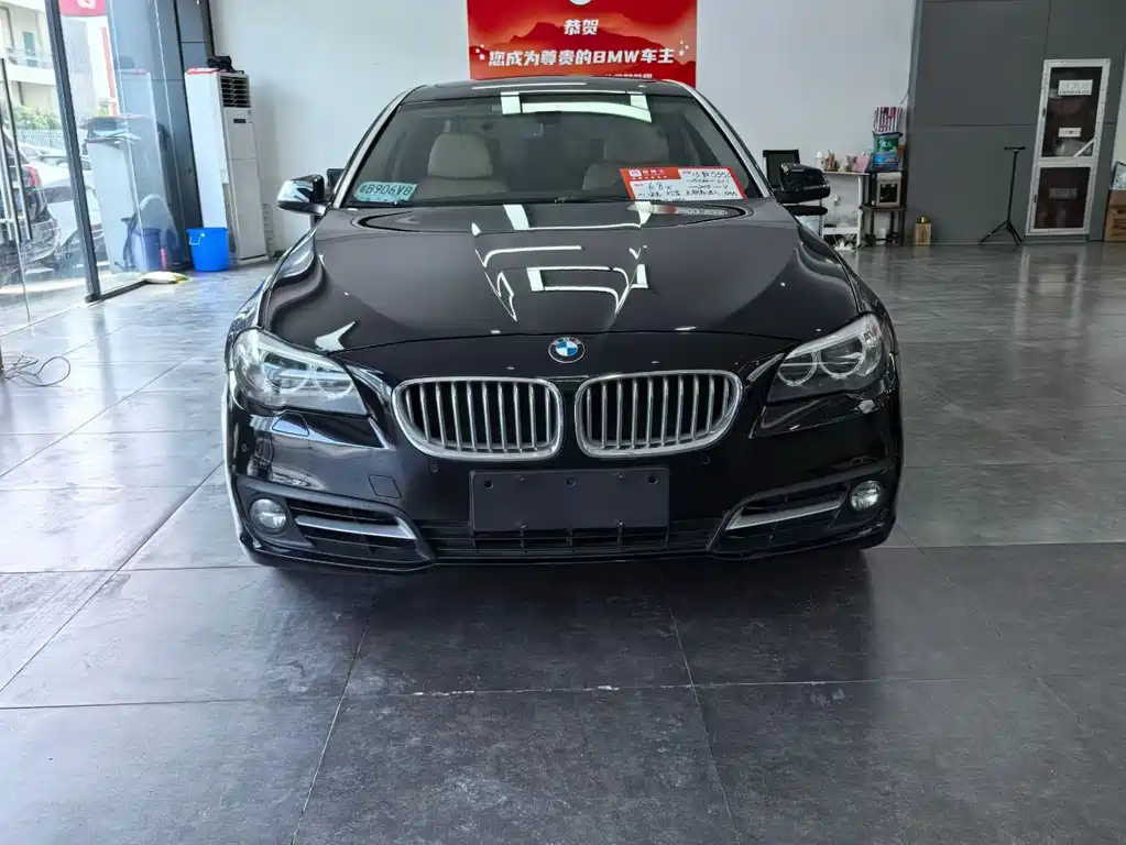BMW 5 Series — миниатюра 2