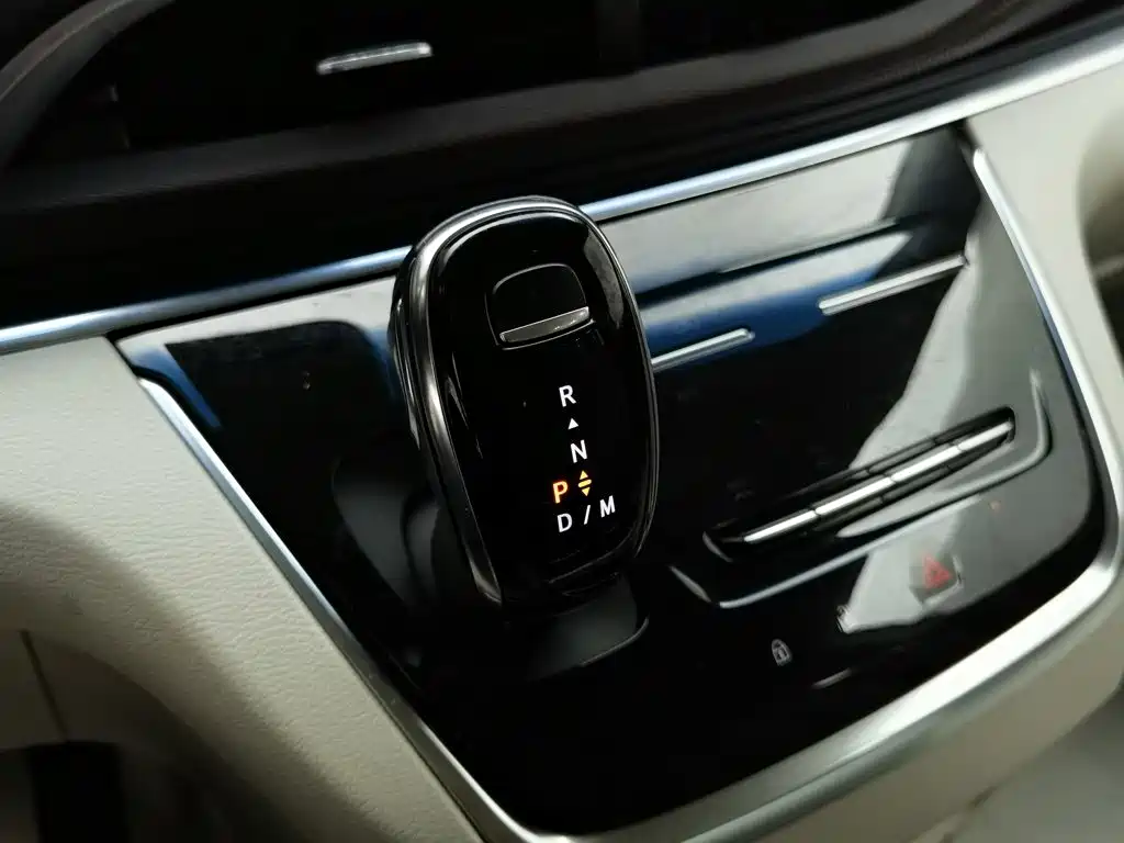 Buick GL8 — миниатюра 13
