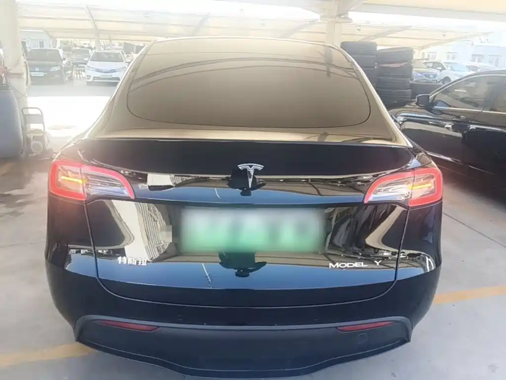 Tesla Model Y — миниатюра 6