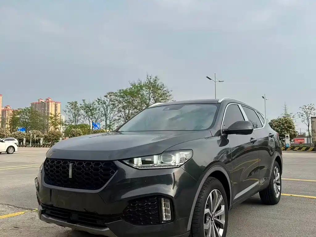 Wey Wey VV6 2019
