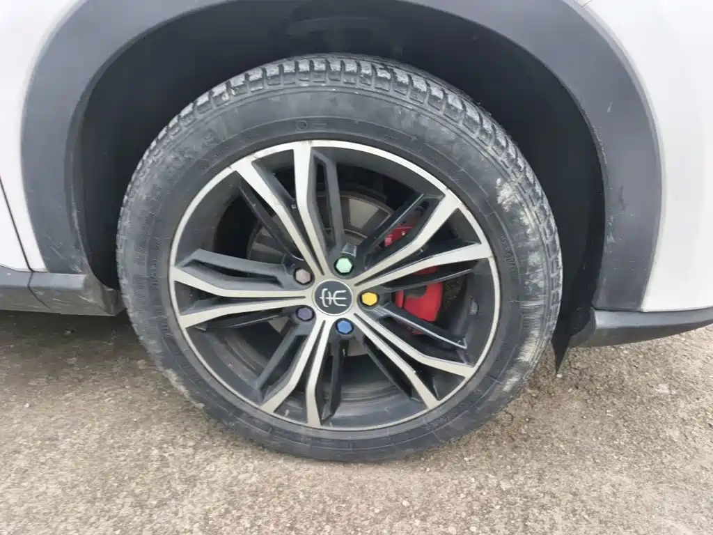 BYD PLUS — миниатюра 24