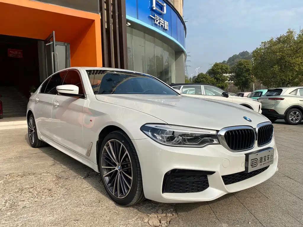 BMW 5 SERIES