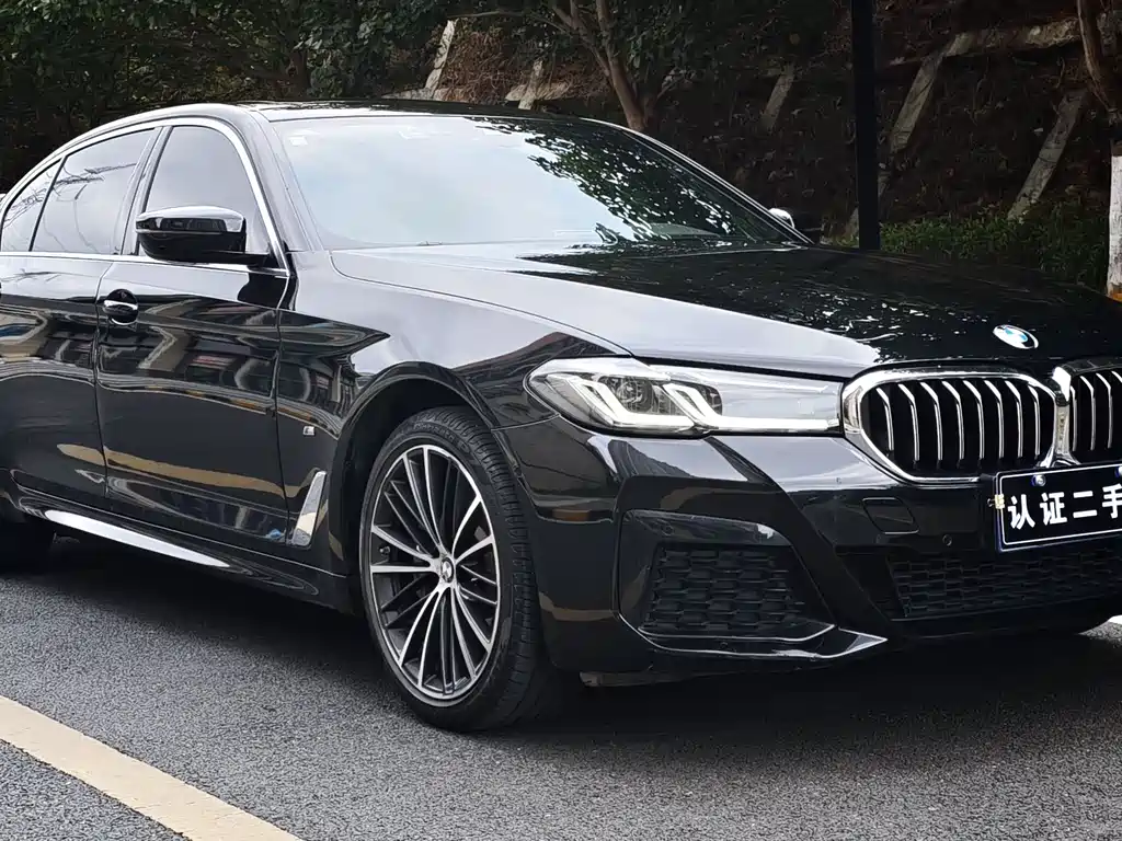BMW 5 Series 5 2021 530Li Lead Luxury