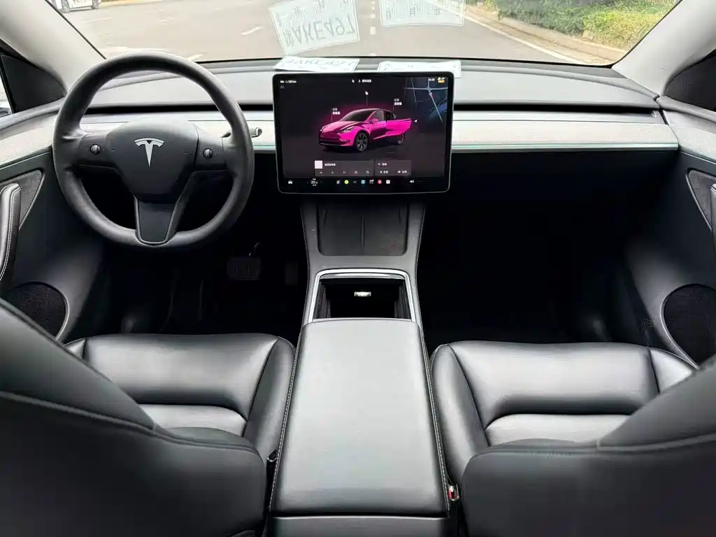 Tesla Model Y — миниатюра 6