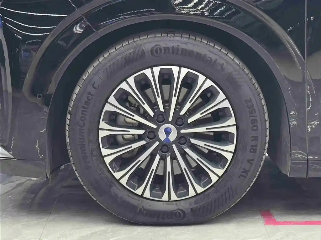 Denza D9 2024 PIONEER мест