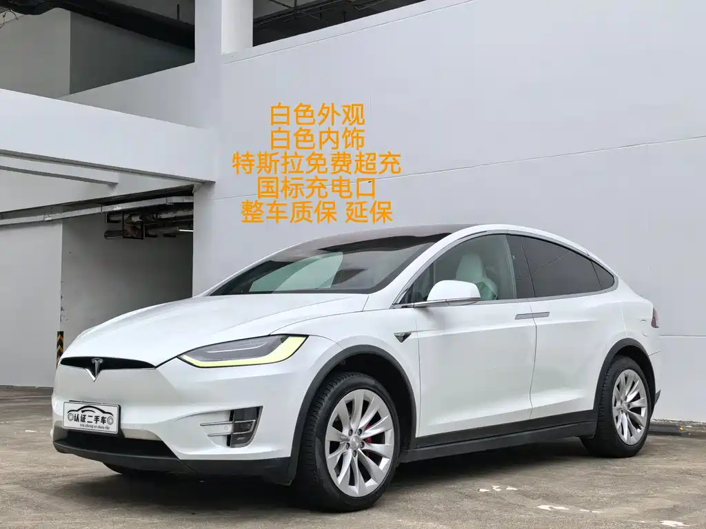 Tesla Model X 2019