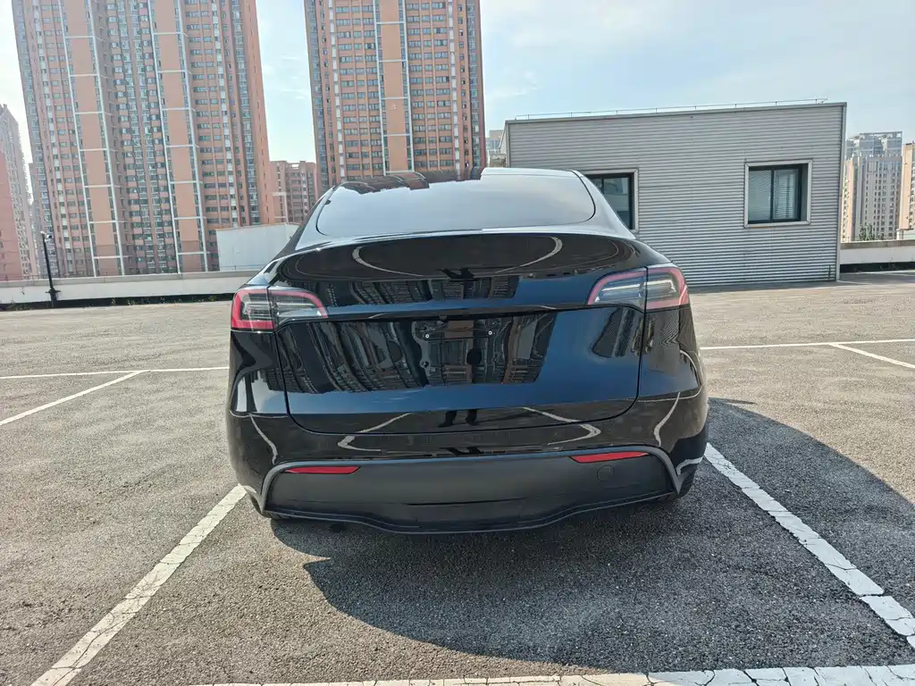 Tesla Model Y — миниатюра 8