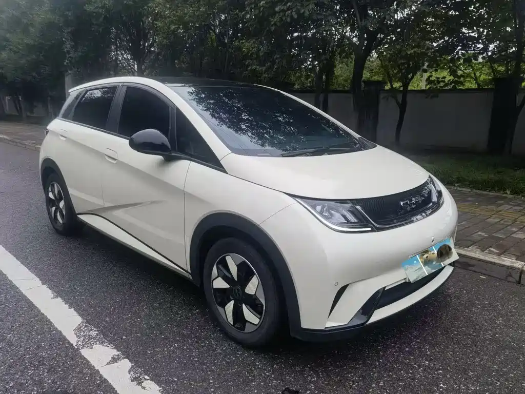BYD Dolphin — миниатюра 3