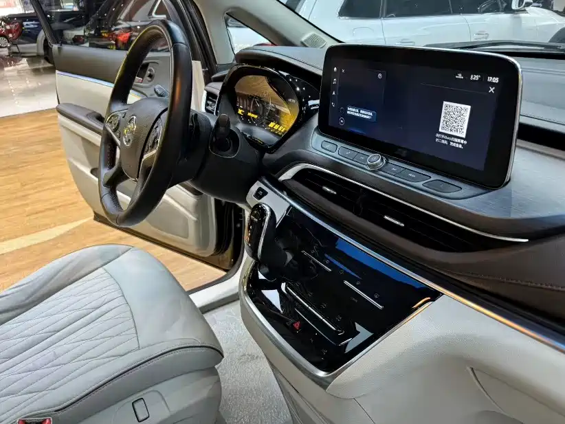 Buick GL8 — миниатюра 17