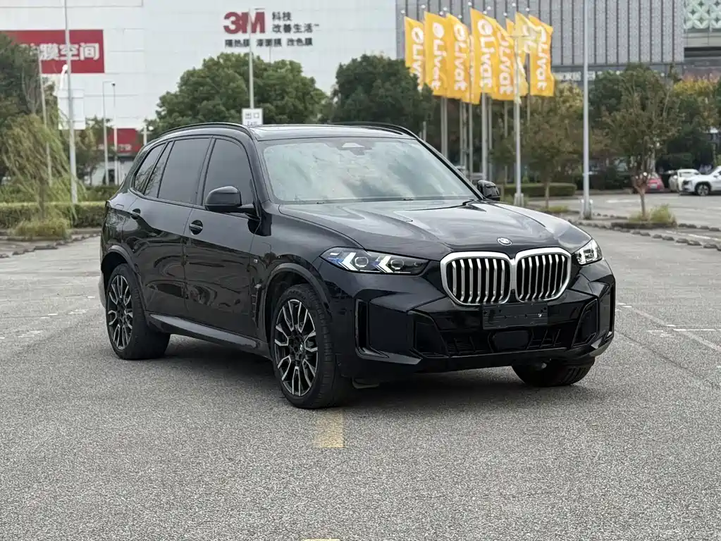 BMW X5 — миниатюра 4