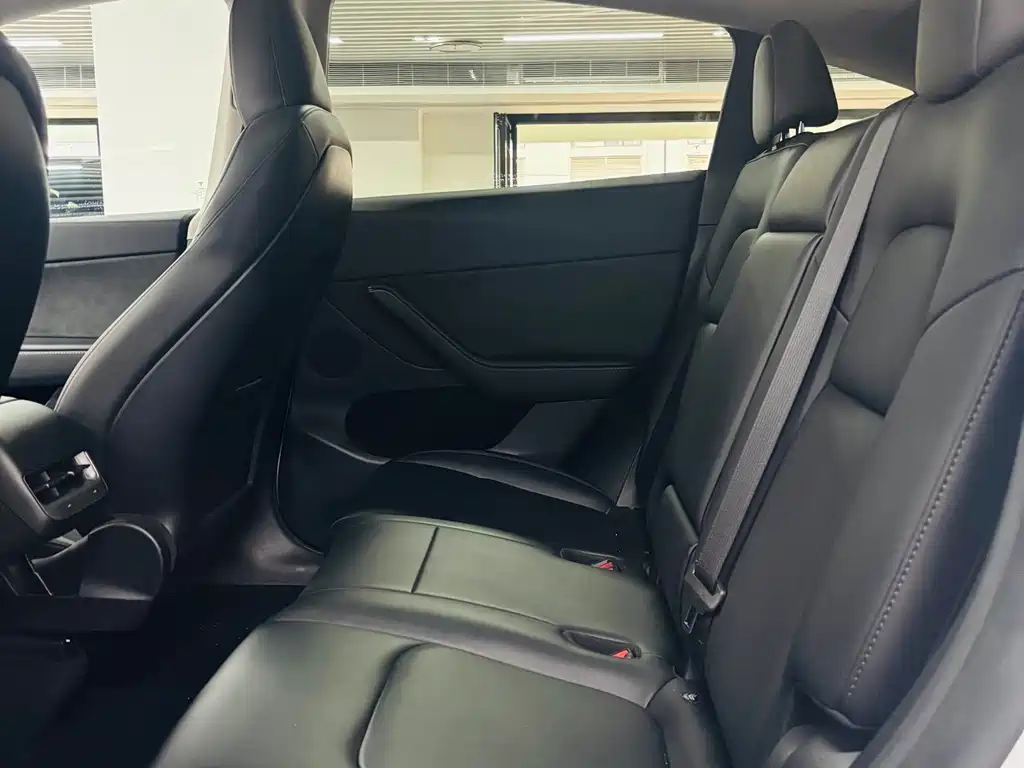 Tesla Model Y — миниатюра 8