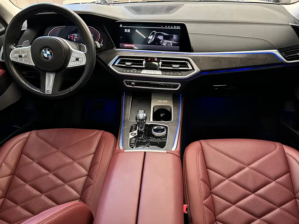 BMW X5 — миниатюра 19