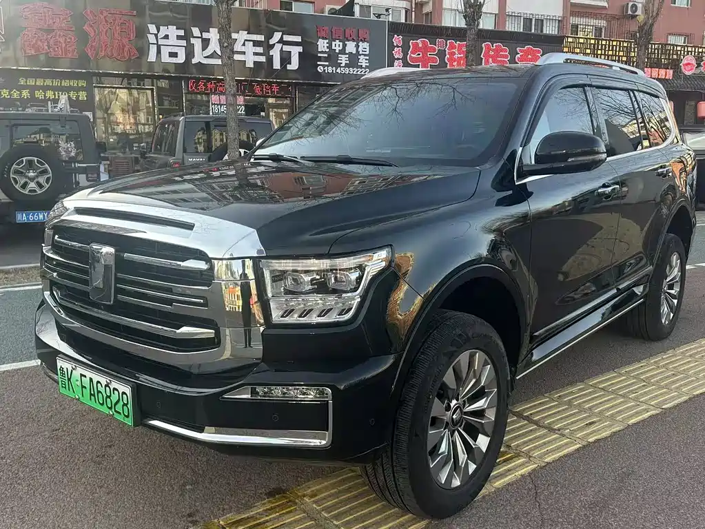 Tank Tank 500 New Energy 2023