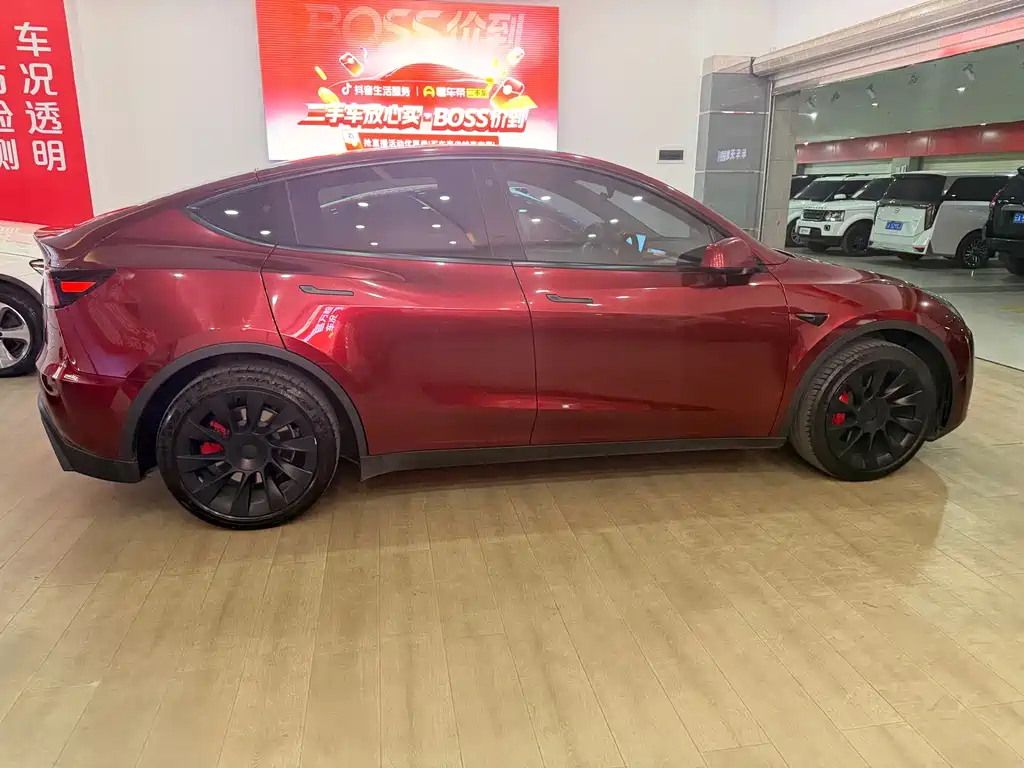 Tesla Model Y — миниатюра 26